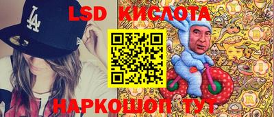 прущие грибы Комсомольск-на-Амуре