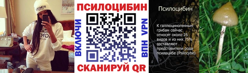 Галлюциногенные грибы Magic Shrooms  купить   Прохладный 