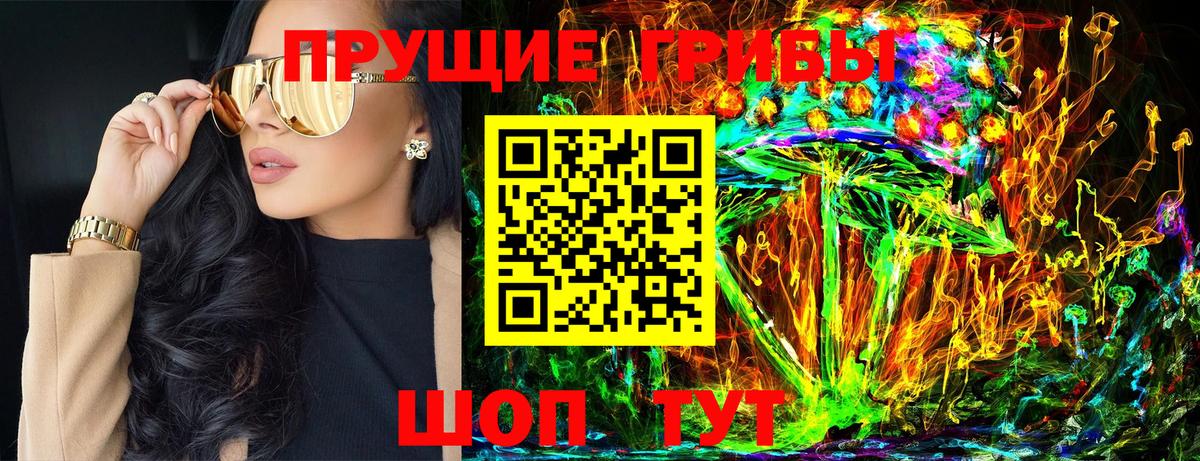 Псилоцибиновые грибы мицелий Прохладный