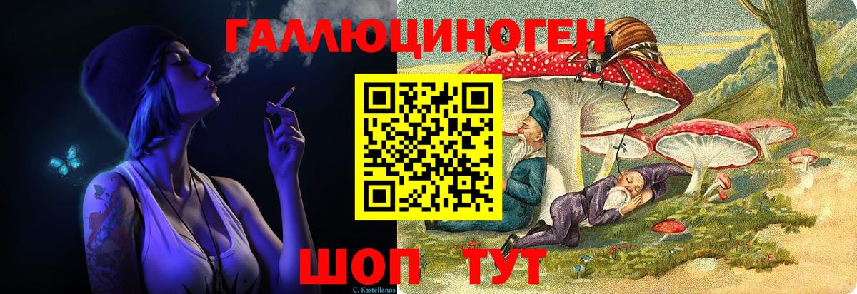 Псилоцибиновые грибы Cubensis Прохладный