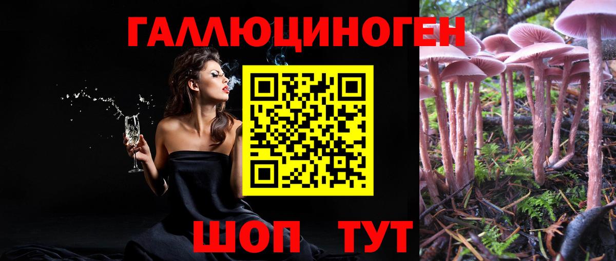 Прохладный  Канабис  МЕФ кристаллы  NBOMe  Alpha-PVP СОЛЬ   ГАШИШ  МДМА 