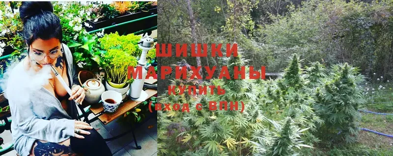 наркошоп  Прохладный  Конопля Ganja 